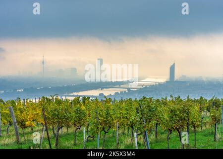 Vienne, Vienne : brouillard matinal au-dessus de Vienne, vignobles, rivière Donau (Danube), tour Donauturm, DC Tour 1, Millennium Tower, vue depuis la colline de Nußberg en 00. o Banque D'Images