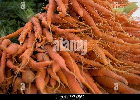 Carottes locales dans un marché alimentaire extérieur Banque D'Images