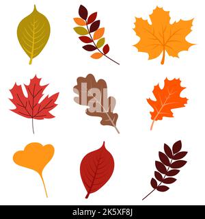 Ensemble de feuilles d'automne colorées. Élément de conception d'automne. Illustration vectorielle Illustration de Vecteur