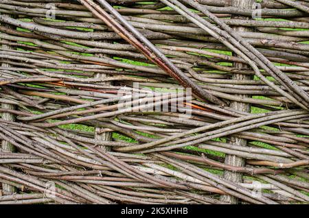 Clôture faite de planches de branches d'arbres, gros plan de tronc d'arbres en forêt, clôture d'armure de bricolage, branches fines tissées entre les lattes verticales, fenc écologique Banque D'Images