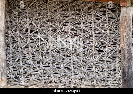 Clôture faite de planches de branches d'arbres, gros plan de tronc d'arbres en forêt, clôture d'armure de bricolage, branches fines tissées entre les lattes verticales, fenc écologique Banque D'Images