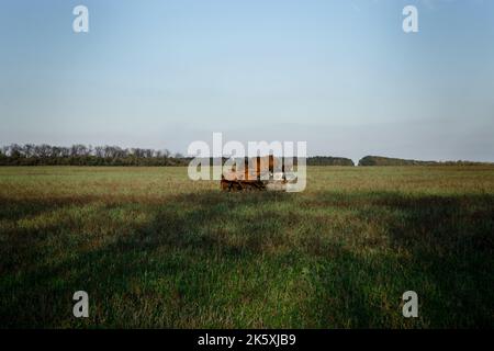 Borova, Ukraine. 7th octobre 2022. Un véhicule militaire avec la lettre 'Z' est vu sur le terrain dans la région de Kharkiv. Les marques tactiques ont été considérées comme un symbole pro-guerre. Les troupes ukrainiennes ont fait des progrès à l'est et libéré plus de colonies dans la région de Kharkiv. Il a été dit que le village Borova dans le district d'Izuim a été libéré le 3rd octobre. (Image de crédit : © Ashley Chan/SOPA Images via ZUMA Press Wire) Banque D'Images