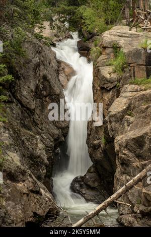 Les chutes de Chasm se précipitent dans le Canyon en contrebas dans le parc national des montagnes Rocheuses Banque D'Images