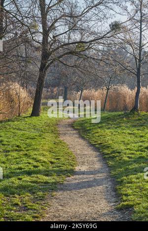 Promenez-vous dans le parc d'automne au bord du lac Banque D'Images