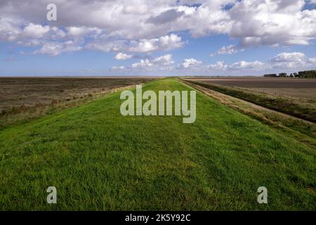 Marcher sur la promenade de Peter Scott, en suivant le haut de la rive de défense de la mer extérieure le long de Wash, Lincolnshire, East Midlands, Angleterre Banque D'Images