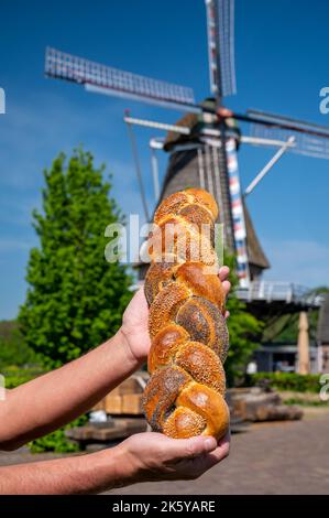 Pain tressé frais avec différentes graines et moulin à vent de grain sur fond, Brabant du Nord, pays-Bas Banque D'Images