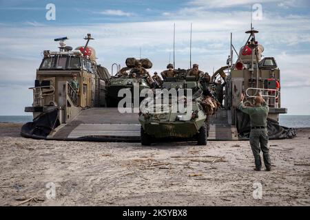 U.S. Navy Aviation Boatswain’s Mate (Handling) 1st classe Brandon WilsonAdda, affecté à l’unité d’embarcation d’assaut (ACU) 4, dirige un véhicule blindé léger, affecté à l’unité expéditionnaire maritime (UMM) 22nd, Off Landing Craft Air Cushion 83, affecté à l’unité ACU 4, à Morehead City, Caroline du Nord, 8 octobre 2022. Le Kearsarge Amphiobie Ready Group et a lancé 22nd MEU opère dans l'océan Atlantique pour soutenir les opérations navales afin de maintenir la stabilité et la sécurité maritimes afin d'assurer l'accès, de décourager l'agression et de défendre les intérêts américains, alliés et partenaires. (É.-U. Navy photo par Mass Communicat Banque D'Images