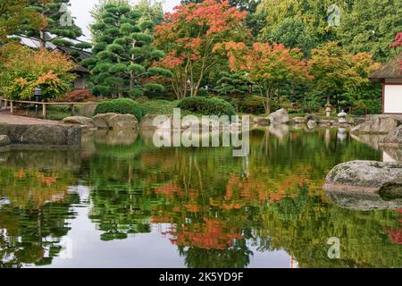 Fantastique paysage d'automne avec des pins topiaires et un étang dans le jardin japonais à Hambourg. Réflexions dans l'eau et les roches et les lanternes en pierre - col orange Banque D'Images