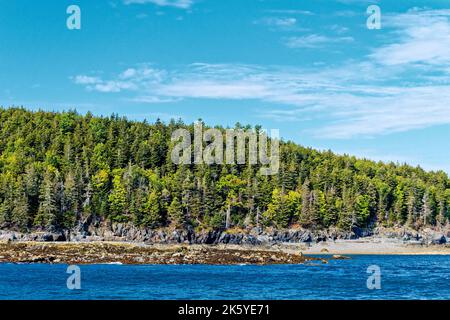 BAR HARBOUR, MAINE - 1 septembre 2022: Bar Harbour, sur la côte du Maine, a une population de seulement 5 000 mais les bateaux de croisière apportent 250 000 touristes a Banque D'Images