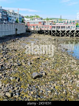 BAR HARBOUR, MAINE - 1 septembre 2022: Bar Harbour, sur la côte du Maine, a une population de seulement 5 000 mais les bateaux de croisière apportent 250 000 touristes a Banque D'Images