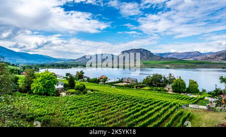 Vue sur le lac Osoyoos et ses vignobles environnants, sur les pentes de montagne de la vallée de l'Okanagan, en Colombie-Britannique, Canada Banque D'Images