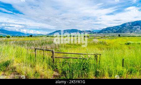 Fields and Vineyards dans la vallée d'Okanogen, entre Osoyoos et Oliver, C.-B., Canada Banque D'Images