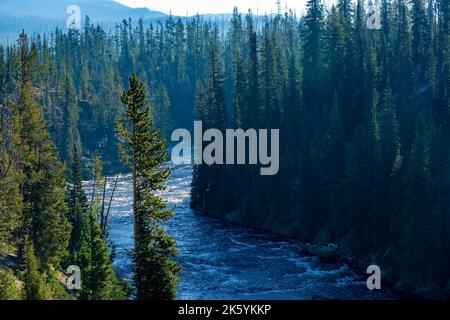 Parc national de Yellowstone, Wyoming, États-Unis. Rivière Lewis. Banque D'Images