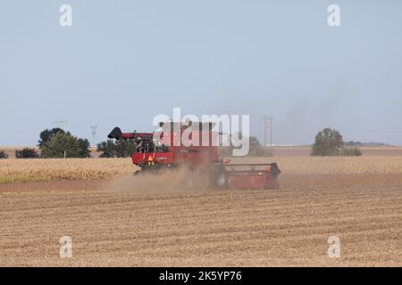 Récolte de soja près de Mediapolis, Iowa Banque D'Images