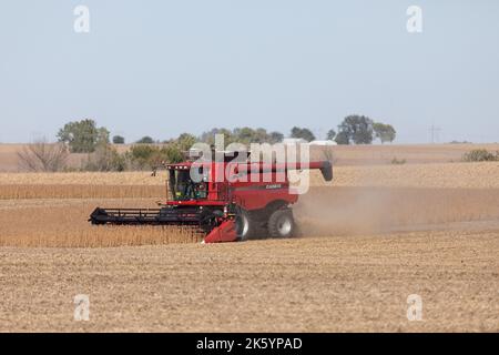 Récolte de soja près de Mediapolis, Iowa Banque D'Images