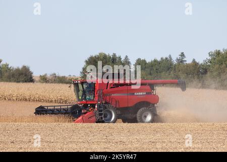 Récolte de soja près de Mediapolis, Iowa Banque D'Images