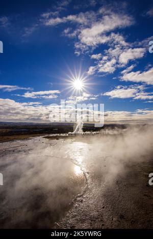 Photos de la faune et de l'environnement de l'Islande Banque D'Images