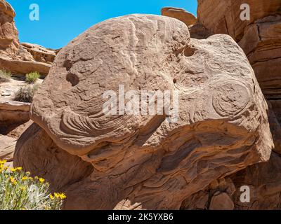 Des motifs circulaires d'érosion sont évidents sur une grande roche dans le Grand Staircase-Escalante National Monument de l'Utah, aux États-Unis Banque D'Images