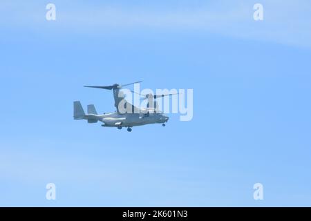 Subic, Zambales, Philippines. 9th octobre 2022. Bell Boeing V-22 Osprey-Military Free-Fall (image de crédit : © Joseph Ceriales/Pacific Press via ZUMA Press Wire) Banque D'Images