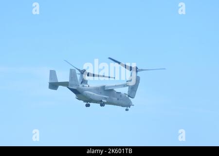 Subic, Zambales, Philippines. 9th octobre 2022. Bell Boeing V-22 Osprey-Military Free-Fall (image de crédit : © Joseph Ceriales/Pacific Press via ZUMA Press Wire) Banque D'Images