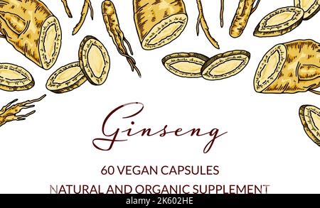 Ginseng design horizontal coloré. Illustration vectorielle botanique dessinée à la main dans un style d'esquisse. Peut être utilisé pour l'emballage, l'étiquette, le badge. Médecine à base de plantes Illustration de Vecteur