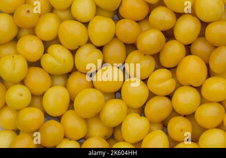 Des prunes jaunes (prunes de cerise) mûres fraîches et moelleuses ont un motif de fond rapproché Banque D'Images