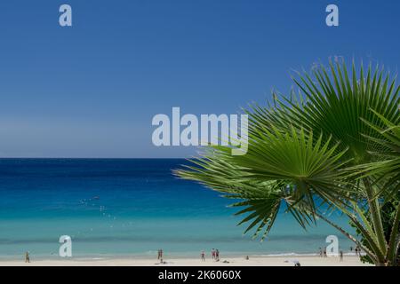 Vue aérienne sur la plage de Playa del Matorral à Morro Jable, île des Canaries Fuerteventura, Espagne. Banque D'Images