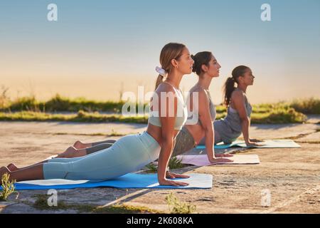 Les femmes de yoga sur toute la longueur dans le dos de chien pose pour la pratique en plein air dans la nature éloignée. Divers groupes d'amis actifs sérieux utilisant mat, l'équilibrage Banque D'Images