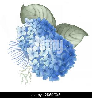 Fleurs d'hortensia bleu, peinture botanique aquarelle. Botte d'hortensia à fleurs pour votre motif. Banque D'Images