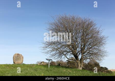 Ammelhede, Danemark - 5 mai 2016 : tombe du prince Hamlet à Ammelhede, Danemark Banque D'Images