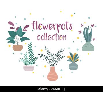 Collection pots de fleurs. Ensemble de jolies fleurs dans des vases. Plantes de maison en pots. Illustration vectorielle dessinée à la main. Illustration de Vecteur