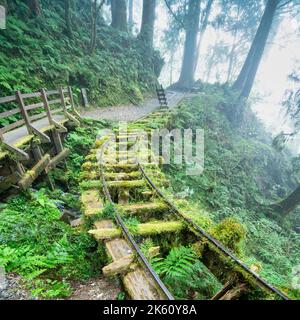 Magnifique sentier historique de Jianqing (Jiancing), chemin de fer forestier de l'aire de loisirs de la forêt nationale de Taipingshan de Taiwan. Banque D'Images