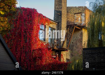 Les feuilles rouges et vertes poussent sur un bâtiment en brique avec un vieux bycicle sur les escaliers Banque D'Images