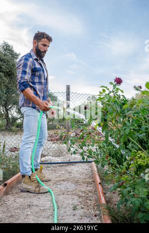 Vue latérale d'un jeune fermier hispanique barbu concentré dans une chemise à carreaux arroser les plantes du tuyau pendant le travail dans le jardin Banque D'Images
