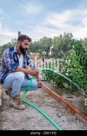 Vue latérale d'un jeune fermier hispanique à barbe concentré en chemise à carreaux, assis sur des haunches et arroser des plantes du tuyau pendant le travail dans le jardin Banque D'Images