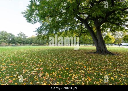 Copenhague, Danemark. Octobre 2022. Vue panoramique sur le jardin du Roi dans le centre-ville Banque D'Images