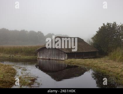 Serres de chaume sur Hickling Broad Norfolk Banque D'Images