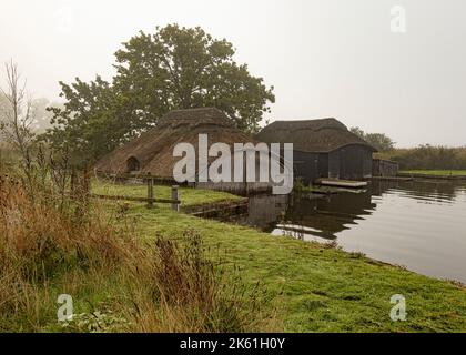 Serres de chaume sur Hickling Broad Norfolk Banque D'Images