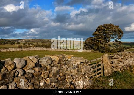 Parc national de Yorshire Dales près de Kettlewell North Yorkshire UK Banque D'Images