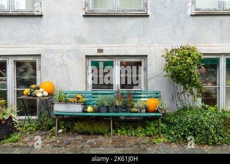 Copenhague, Danemark. Octobre 2022. Une composition typique faite avec des citrouilles décoratives sur un banc en bois dans le centre-ville Banque D'Images