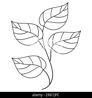Élément floral à lignes dessinées à la main. Éléments de feuille Doodle Illustration de Vecteur