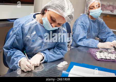 Scientifique préparant des blocs de paraffine contenant des tissus de biopsie pour la coupe. Laboratoire de pathologie. Diagnostic du cancer. Banque D'Images
