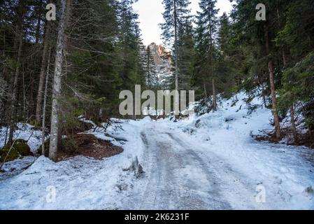 La neige vide a couvert la route à travers une forêt dans les montagnes au coucher du soleil en automne Banque D'Images