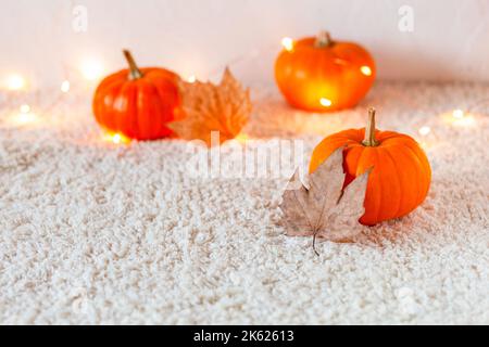 composition d'automne avec mini-citrouilles et feuilles sèches, vue latérale, mise au point sélective, copyspace Banque D'Images