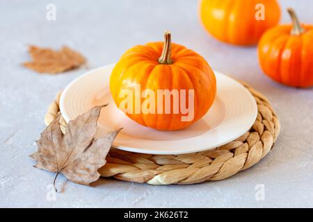 composition d'automne avec mini citrouilles et feuilles mortes, vue latérale Banque D'Images