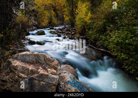 Magnifique ruisseau de montagne dans les montagnes Wasatch de l'Utah, États-Unis. C'est l'un des nombreux ruisseaux pittoresques mtn. À l'est de Salt Lake City. Banque D'Images