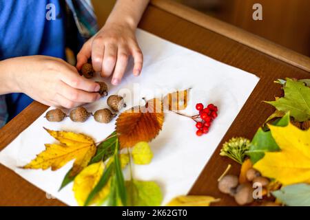 Un enfant fait une décoration d'automne sous forme d'oiseau à partir de feuilles, de baies rouges et d'acornes. Gros plan des mains. Dons de la forêt. Banque D'Images