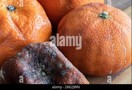 Gros plan sur les mandarines flétrissées. La texture du zeste d'agrumes séché. Une composition de fruits flétris sur un fond en bois. Banque D'Images