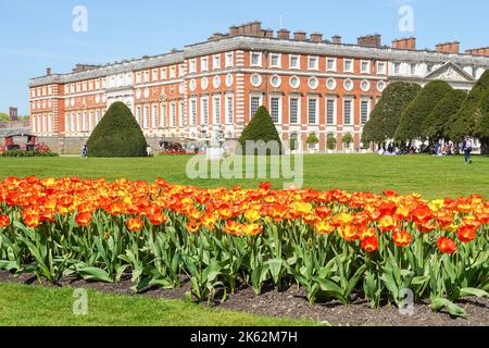 Fleurs printanières dans le grand jardin de la fontaine, Hampton court Palace, Richmond upon Thames, Londres, Angleterre Royaume-Uni Banque D'Images