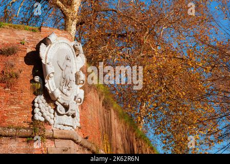 Automne et feuillage à Lucques. Ancien remparts de la ville Saint Mary bulwark avec des feuilles automnales sycomore Banque D'Images